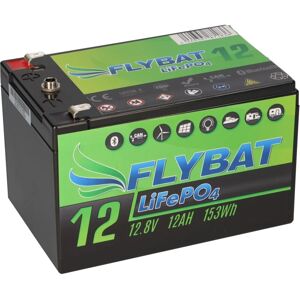 FLYBAT FYBAT LiFePO4 Akku 12V (12,8V) 12Ah inkl. Bluetooth und CanBus