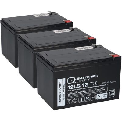 Q-Batteries Ersatz Batterie Akku-Pack kompatibel f. E-Scooter SXT 500 EEC E-Roller QB Q-Batteries Ersatz Batterie Akku-Pack kompatibel f. E-Scooter SXT 500 EEC E-Roller QB