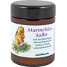 Josef Mack GmbH & Co. KG Murmeltier Salbe 100 ml