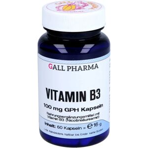 Hecht Pharma GmbH Vitamin B3 100 mg Gph Kapseln 60 St