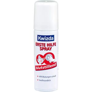 Dr. Dagmar Lohmann Pharma + Medical GmbH Kwizda Erste Hilfe Spray blutstillend 40 g