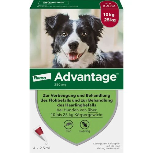 Elanco Deutschland GmbH Advantage 250 Lösung f.Hunde 10-25 kg 4 St