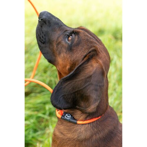 Farm-Land Hundeleine Lautlos Orange