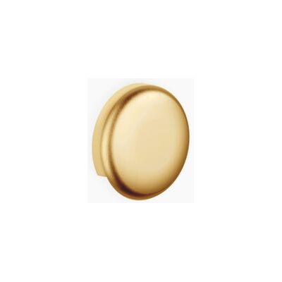 Dornbracht 36150970-28 Messing gebürstet Rohrunterbrecher - Neutral Dornbracht 36150970-28 Messing gebürstet Rohrunterbrecher - Neutral
