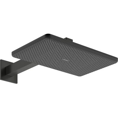 hansgrohe Raindance Alive Q Duschkopf - Duschkopf hansgrohe Raindance Alive Q Duschkopf - Duschkopf