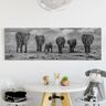 Leinwandbild Elefant - Panorama Großfamilie