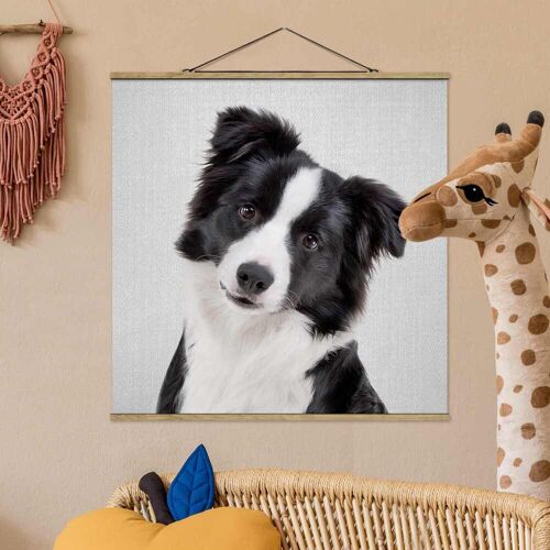 Stoffbild mit Posterleisten Bordercollie Benni