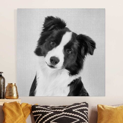 Leinwandbild Bordercollie Benni Schwarz Weiß