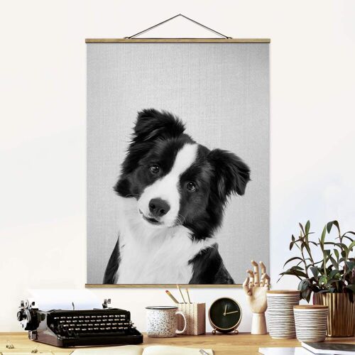 Stoffbild mit Posterleisten Bordercollie Benni Schwarz Weiß