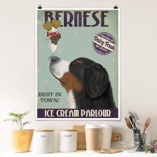 Poster Tiere - Hochformat Berner Sennenhund mit Eis
