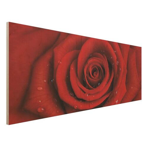 Holzbild Blumen - Panorama Rote Rose mit Wassertropfen