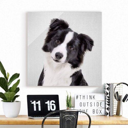 Glasbild Bordercollie Benni