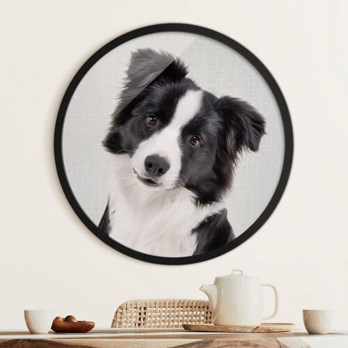 Rundes Gerahmtes Bild Bordercollie Benni