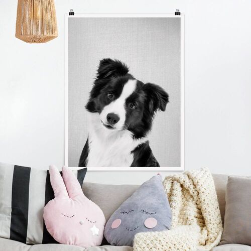 Poster Bordercollie Benni Schwarz Weiß