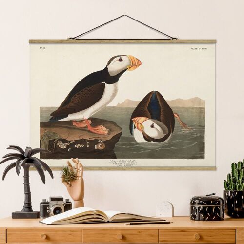 Stoffbild Strand mit Posterleisten - Querformat Vintage Lehrtafel Papageientaucher II