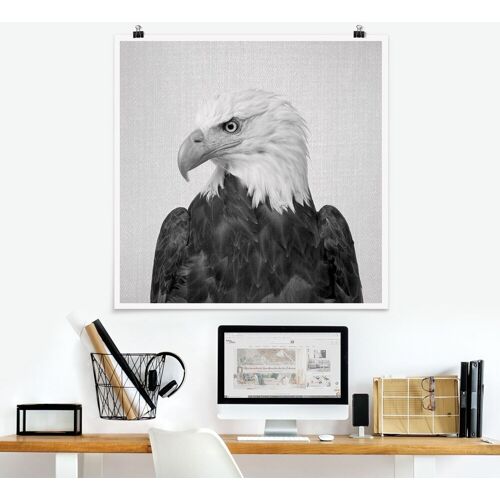 Poster Seeadler Sokrates Schwarz Weiß