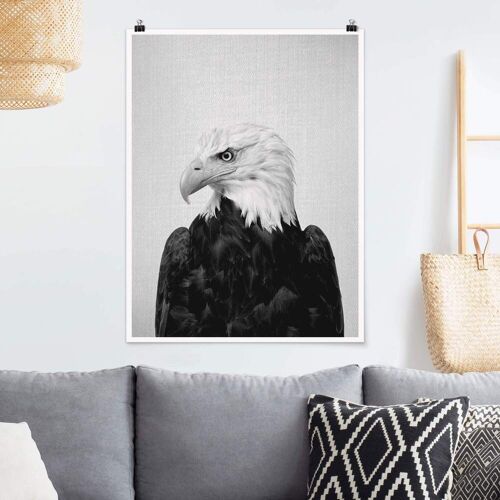 Poster Seeadler Sokrates Schwarz Weiß