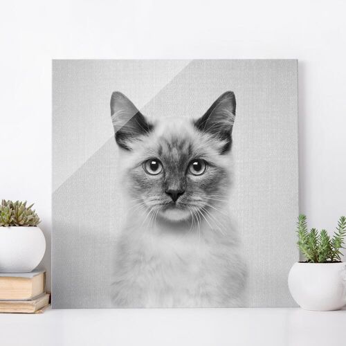 Glasbild Siamkatze Sibylle Schwarz Weiß