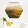 Hexagon-Forexbild Val d'Orcia