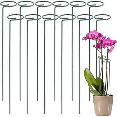 CREA 12-teiliges Pflanzenstützset Für Kletterpflanzen Und Blumen, Grüne Pflanzenstützen Für Optimales Blumenwachstum, Tomatenstäbe, Gartenstäbe Für Orchideen, Amaryllis, Pfingstrosen, Paprika Und Mehr CREA 12-teiliges Pflanzenstützset Für Kletterpflanzen Und Blumen, Grüne Pflanzenstützen Für Optimales Blumenwachstum, Tomatenstäbe, Gartenstäbe Für Orchideen, Amaryllis, Pfingstrosen, Paprika Und Mehr