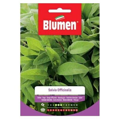Blumen Semillas de Salvia Officinalis - Kräuter Samen Blumen Semillas de Salvia Officinalis - Kräuter Samen