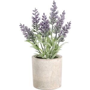 Eglo - living Kunstpflanze Chitose, künstlicher Lavendel im Topf, naturgetreue Deko Pflanze für Wohnzimmer, Kunstblume aus Kunststoff in Grün und Eglo - living Kunstpflanze Chitose, künstlicher Lavendel im Topf, naturgetreue Deko Pflanze für Wohnzimmer, Kunstblume aus Kunststoff in Grün und