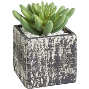 Eglo - living Kunstpflanze Chitose, künstliche Zimmerpflanze im Topf, naturgetreue Deko Pflanze für Wohnzimmer, Sukkulente aus Kunststoff in Grün und Eglo - living Kunstpflanze Chitose, künstliche Zimmerpflanze im Topf, naturgetreue Deko Pflanze für Wohnzimmer, Sukkulente aus Kunststoff in Grün und