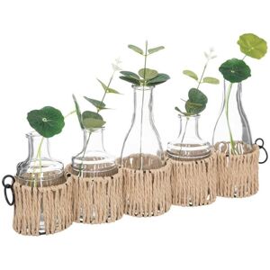Atmosphera - Set Aus 5 Soliflores - Glas - H29 -5 Cm Créateur D'Intérieur Atmosphera - Set Aus 5 Soliflores - Glas - H29 -5 Cm Créateur D'Intérieur