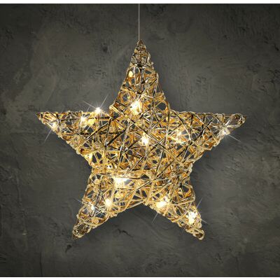 SPETEBO Led Deko Stern Gold Mit Timer - 30 Cm - Weihnachtsstern Zum Hängen Warm Weiß Beleuchtet SPETEBO Led Deko Stern Gold Mit Timer - 30 Cm - Weihnachtsstern Zum Hängen Warm Weiß Beleuchtet