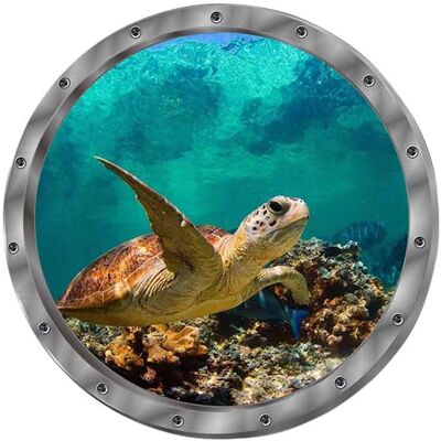 Minkurow Wandtattoo 3d Wandtattoo Fenster Delphin Schildkröten Unterwasserwelt Delfine Marine Wohnzimmer Schlafzimmer Kinderzimmer Dekoration (schildkröten) Minkurow Wandtattoo 3d Wandtattoo Fenster Delphin Schildkröten Unterwasserwelt Delfine Marine Wohnzimmer Schlafzimmer Kinderzimmer Dekoration (schildkröten)
