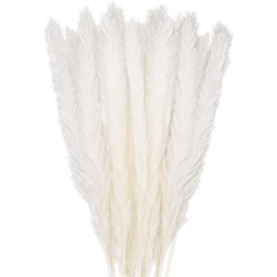 Minkurow 30 Stück Pampasgras, 45 Cm Natürliche Pampasblumen Getrockneter Blumenstrauß Für Vasen, Weiße Boho-dekoration, Schlafzimmer, Zuhause, Wohnzimmer, Hochzeit, Fotografieren, Tischdekoration Minkurow 30 Stück Pampasgras, 45 Cm Natürliche Pampasblumen Getrockneter Blumenstrauß Für Vasen, Weiße Boho-dekoration, Schlafzimmer, Zuhause, Wohnzimmer, Hochzeit, Fotografieren, Tischdekoration