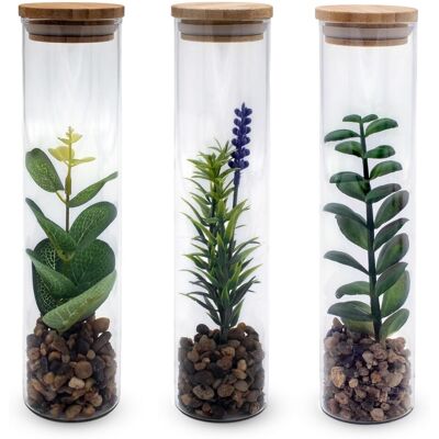 Spetebo - Kunstpflanze In Glasvase Ca. 20 Cm - 3er Set - Sukkulenten Im Glas Mit Holzdeckel - Tisch Deko Zimmer Pflanze In Vase Set Künstlich Spetebo - Kunstpflanze In Glasvase Ca. 20 Cm - 3er Set - Sukkulenten Im Glas Mit Holzdeckel - Tisch Deko Zimmer Pflanze In Vase Set Künstlich