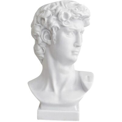 CARMDERING David – Blumenvase – Davidkopf – Büste – Griechische David-skulptur – David-skulptur – Dekorativer Kopf – Dekorative Vase – Stifthalter CARMDERING David – Blumenvase – Davidkopf – Büste – Griechische David-skulptur – David-skulptur – Dekorativer Kopf – Dekorative Vase – Stifthalter