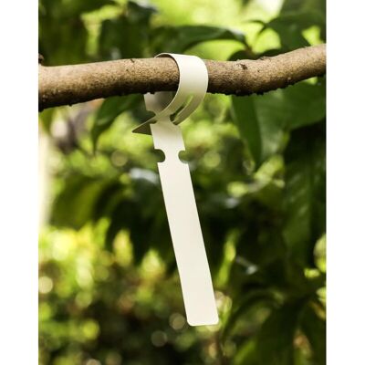 AAMIRA 300 Stück Gartenetiketten Aus Kunststoff. Hängendes Schild Für Den Gemüsegarten. 2 X 21 Cm. Weiß. AAMIRA 300 Stück Gartenetiketten Aus Kunststoff. Hängendes Schild Für Den Gemüsegarten. 2 X 21 Cm. Weiß.