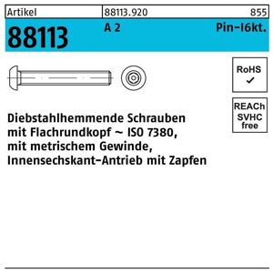 Schraube R 88113 diebstahlh. Innen-6kt Zapfen M 5 x 12 A 2