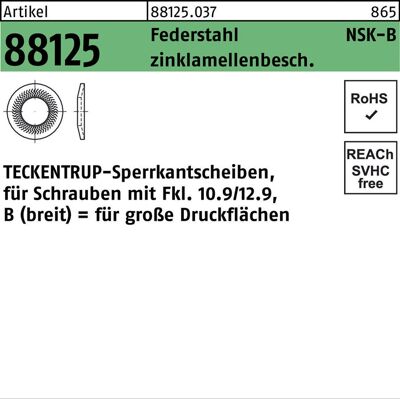 Teckentrup - 88125 NSK-B 10 - Federstahl - Lock washer Teckentrup - 88125 NSK-B 10 - Federstahl - Lock washer