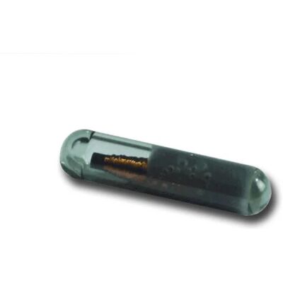 CAME 009TAG Glas-Transponder in Ersatz - Serie TSP01 CAME 009TAG Glas-Transponder in Ersatz - Serie TSP01