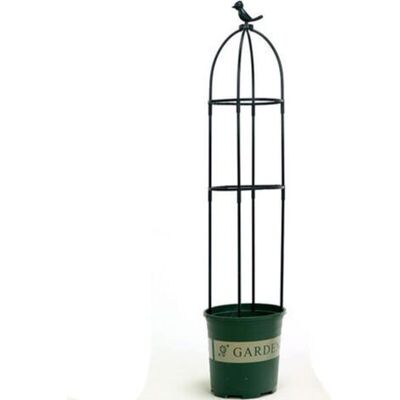 OEM Rosa Kletterpergola Mit Clematisblüte, Kunststoff-montagestütze, Kletterpflanze, Pergola, Balkon, Berg, Schildkröte, Stützstange, 120 Cm OEM Rosa Kletterpergola Mit Clematisblüte, Kunststoff-montagestütze, Kletterpflanze, Pergola, Balkon, Berg, Schildkröte, Stützstange, 120 Cm