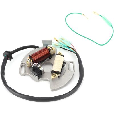 HEAT Kompletter Stator Mit Kabelbaum 5vm-85560-00-00, Kompatibel Mit Yamaha Blaster 200 Yfs200 (2003–2006), Ladegenerator HEAT Kompletter Stator Mit Kabelbaum 5vm-85560-00-00, Kompatibel Mit Yamaha Blaster 200 Yfs200 (2003–2006), Ladegenerator