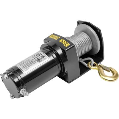 OEM Elektrische Hebevorrichtung, 0,4-kw-motor, Handsteuerung, Schwarz OEM Elektrische Hebevorrichtung, 0,4-kw-motor, Handsteuerung, Schwarz