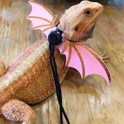 NONAME Set Aus Pinkfarbenen Reptilienleinen - Geeignet Für Den Täglichen Einsatz Im Freien Mit Ihren Reptilien (bartagamen, Echsen Usw.). NONAME Set Aus Pinkfarbenen Reptilienleinen - Geeignet Für Den Täglichen Einsatz Im Freien Mit Ihren Reptilien (bartagamen, Echsen Usw.).
