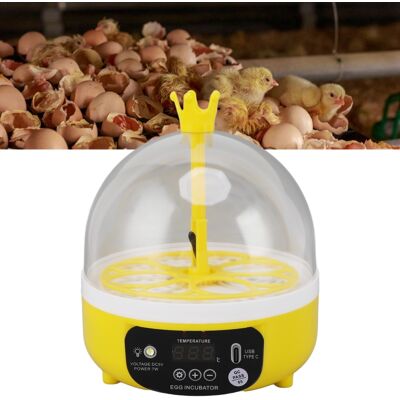 JUTE Miniatur-kükenbrutapparat, Kleiner Heim-/mini-brutapparat Für Kinder, Intelligente Brutbox, Manueller Brutapparat. JUTE Miniatur-kükenbrutapparat, Kleiner Heim-/mini-brutapparat Für Kinder, Intelligente Brutbox, Manueller Brutapparat.