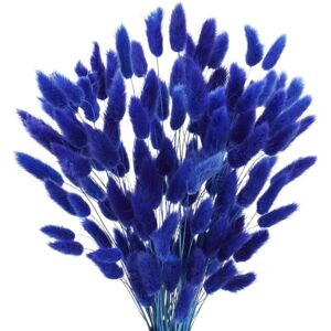 SSTRWGOOD 50 getrocknete Pampasgrasstängel, 45 cm, naturweiß, für Vasen, Hochzeiten, Zuhause, Hotels, Dekoration SSTRWGOOD 50 getrocknete Pampasgrasstängel, 45 cm, naturweiß, für Vasen, Hochzeiten, Zuhause, Hotels, Dekoration