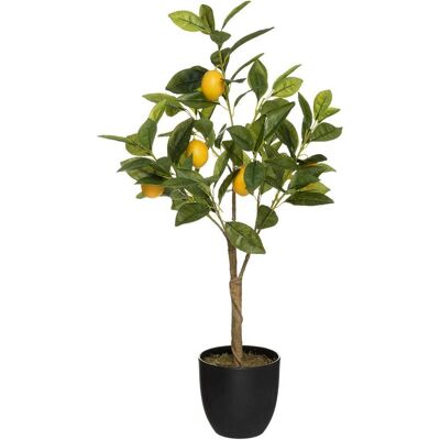 ATMOSPHERA Kunstpflanze Zitronenbaum Im Schwarzen Topf, H. 73 Cm ATMOSPHERA Kunstpflanze Zitronenbaum Im Schwarzen Topf, H. 73 Cm