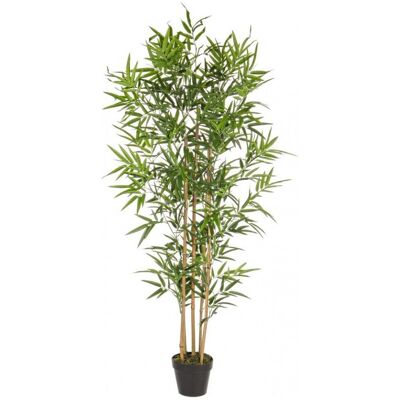 Bizzotto - Kunstpflanze 'bamboo' Für Den Innen- Und Außenbereich Mit Topf H 155 Cm Bizzotto - Kunstpflanze 'bamboo' Für Den Innen- Und Außenbereich Mit Topf H 155 Cm