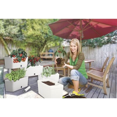 Bama - Ziegel-bausatz, Modulares Pflanzgefäß-set, 5-teilig – Creme-farbe Bama - Ziegel-bausatz, Modulares Pflanzgefäß-set, 5-teilig – Creme-farbe