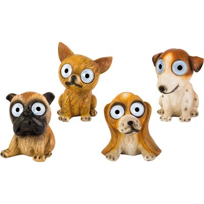 OEM Solarhund, Sortierte Modelle OEM Solarhund, Sortierte Modelle