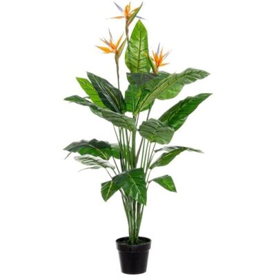 BIZZOTTO Vase Sterlitzia 25f BIZZOTTO Vase Sterlitzia 25f