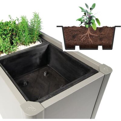 Biohort Pflanzeinsatz Zu Pflanzbeet Belvedere 4 Stück Biohort Pflanzeinsatz Zu Pflanzbeet Belvedere 4 Stück