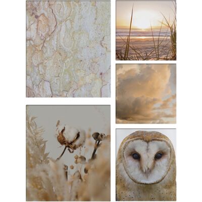 Art For The Home - Leinwandbild Set Natur (5-teilig) Art For The Home - Leinwandbild Set Natur (5-teilig)
